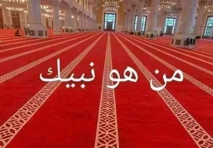 قصه سيدنا سليمان عليه السلام