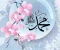 صورة مقال قصص المكثرين من الصلاة على النبي (ص) صيغة مئة مرة تحولك إلى ولي