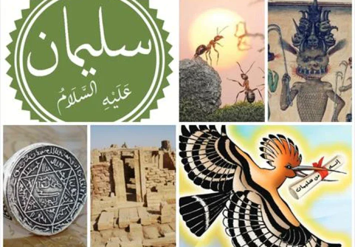 سيدنا سليمان و الهدهد