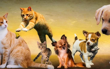 معلومات ممكن تفيدك عن الحيوانات الأليفة