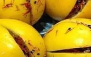 طريقة سهلة وسريعة لتخليل الزيتون والليمون المعصفر