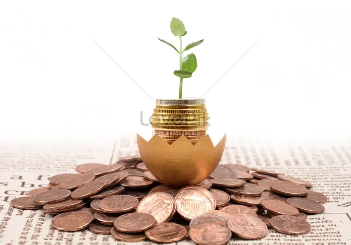 الاستثمار والمشاريع التجاريه