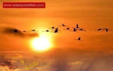 عدد ذكر كلامات القران وفوائد قرآنية