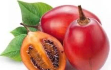 فوائد وأضرار فاكهه التاماريلو