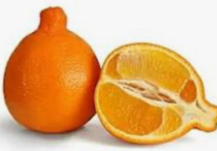 فوائد وأضرار فاكهه التانجيلو