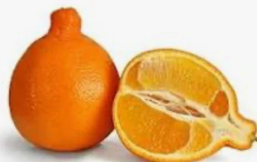 فوائد وأضرار فاكهه التانجيلو