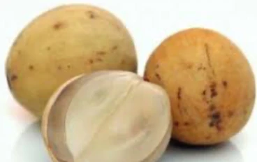 فوائد وأضرار فاكهه الدوكو
