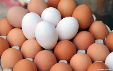 السعرات والقيمة الغذائيه للبيض يالإختصار المفيد