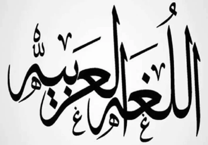 نص نصائح غالية الصف الثاني الإعدادي لغة عربية