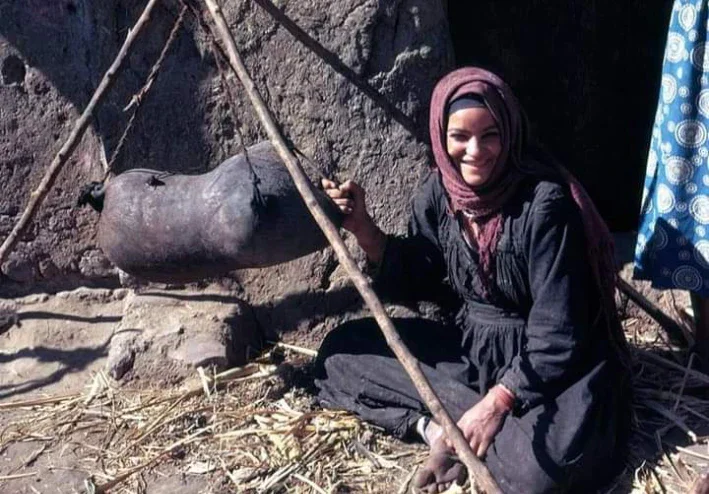 صناعة الجبن ومراحل تصنيعه
