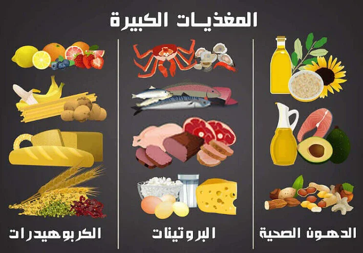 تنظيم الاكل للتخسيس والحفاظ علي الوزن