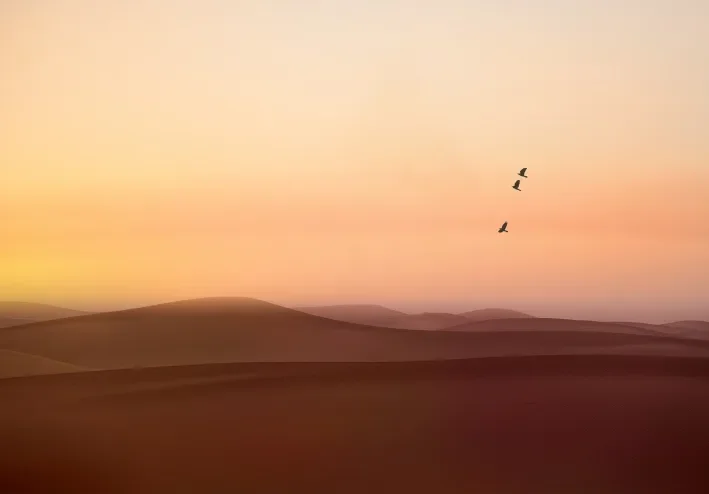 أغرب 10 طرق للحفاظ على الشباب عبر التاريخ