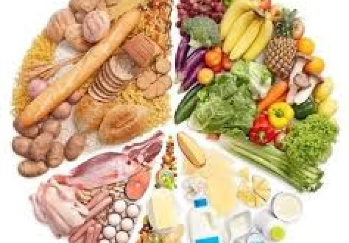 Proper Nutrition: The Key to Good Health and Prevention of Chronic Diseases