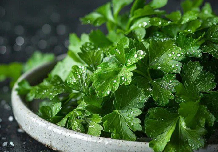فائدة عشب البقدونس