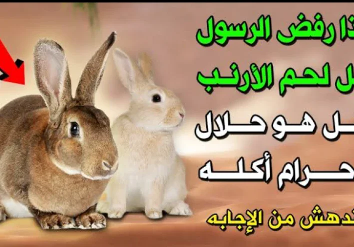 لماذا امتنع النبي عن اكل لحم الارنب رغم انها حلال؟