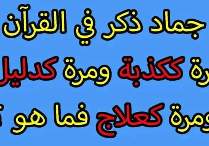 جماد ذكر في القرآن مرة كذبة ومرة دليل ومرة علاج؟