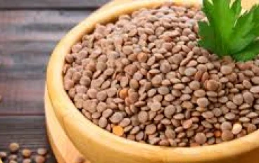فوائد العدس لمد الجسم بالطاقة 
