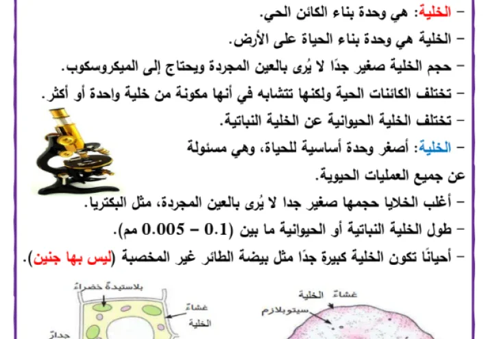 تحميل مذكرة علوم للصف السادس الأبتدائي الترم الأول 2024 / 2025