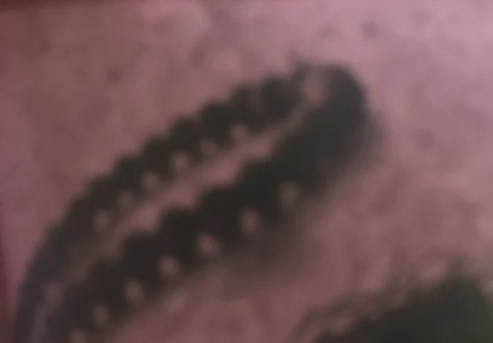 تعقيب صلاة الصبح يا رب