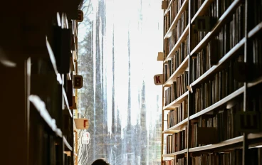 The library of whispers 