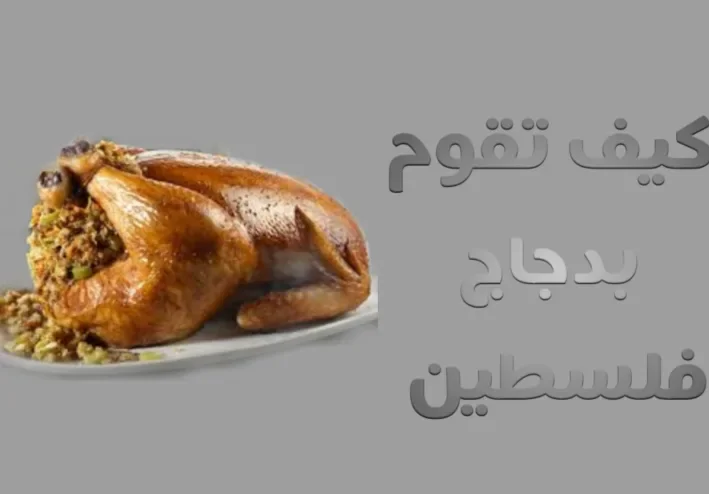 كيف تقوم بطبخ دجاج فلسطيني