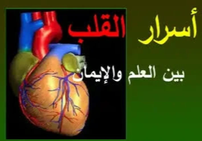 "أسرار القلب: قصص حقيقية عن زراعة القلوب وتغيرات الشخصية التي تحير العلماء"