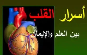 "أسرار القلب: قصص حقيقية عن زراعة القلوب وتغيرات الشخصية التي تحير العلماء"