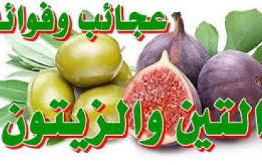 اسرع علاج للخشونة بواسطة كنز من كنوز الطبيعة "التين والزيتون" 