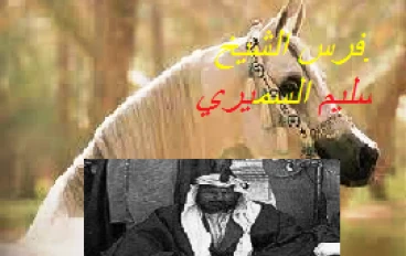 فرس الشيخ سليم  السميري (الجرادى )