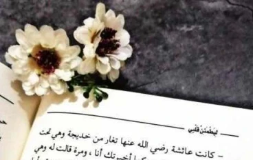 اقتباسات من رواية  ليطمئن قلبى
