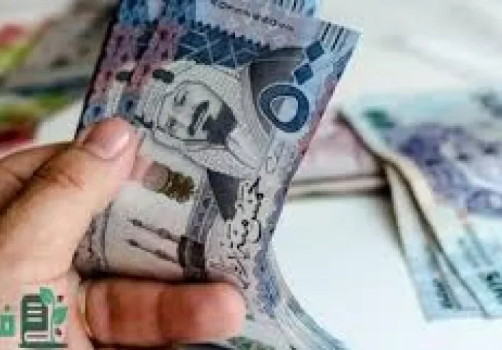 مميزات المرتبة الخامسة عشر