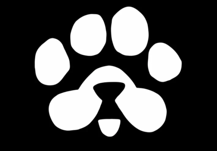 الربح من بوت التليجرام paws الشبيه لعمله dogs وهامستر ونوت كوين