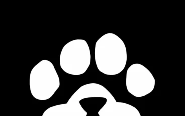الربح من بوت التليجرام paws الشبيه لعمله dogs وهامستر ونوت كوين 