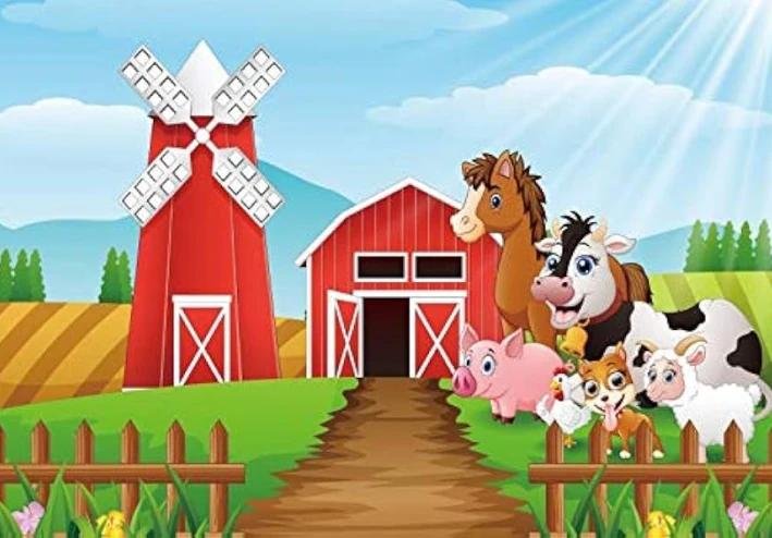 أين ذهبت كرتونة البيض