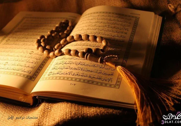 الإعجاز الرقمي في القرآن: أسرار مذهلة تكشف التناغم العددي