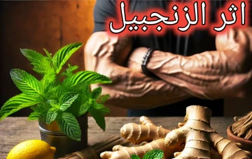 الزنجبيل: كنز من الفوائد الصحية والعلاجية لجسمك