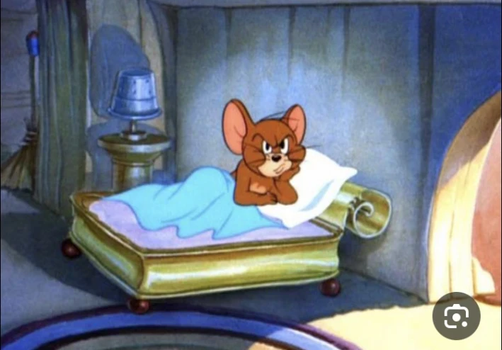 افضل المشروبات الطبيعيه التي تساعد علي النوم بشكلٍ مريح 🛌