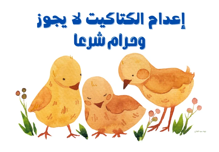 إعدام الكتاكيت لا يجوز وحرام شرعا