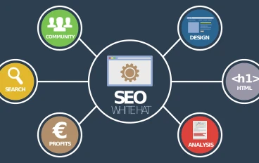 لماذا يعد SEO أكثر أهمية بالنسبة إلى موقع الويب؟