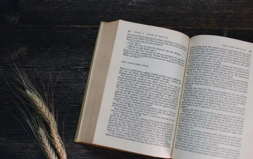 The Transformative Power of Reading: Unlocking Personal Growth Through Words