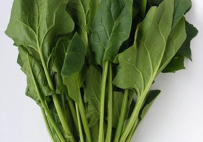 Top Health Benefits of Spinach: Boost Immunity, Heart Health, and Brain Function Naturally