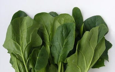 Top Health Benefits of Spinach: Boost Immunity, Heart Health, and Brain Function Naturally