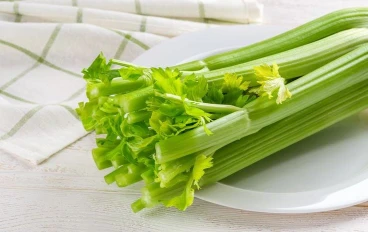 The Top Health Benefits of Celery: Nutrition, Digestion, and Heart Health Explained