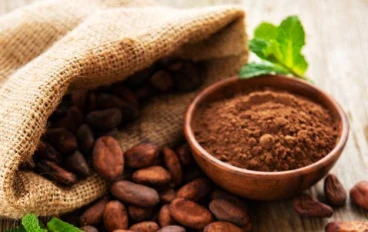 Top Health Benefits of Raw Cacao: Nutrition, Antioxidants, and Mood-Boosting Properties