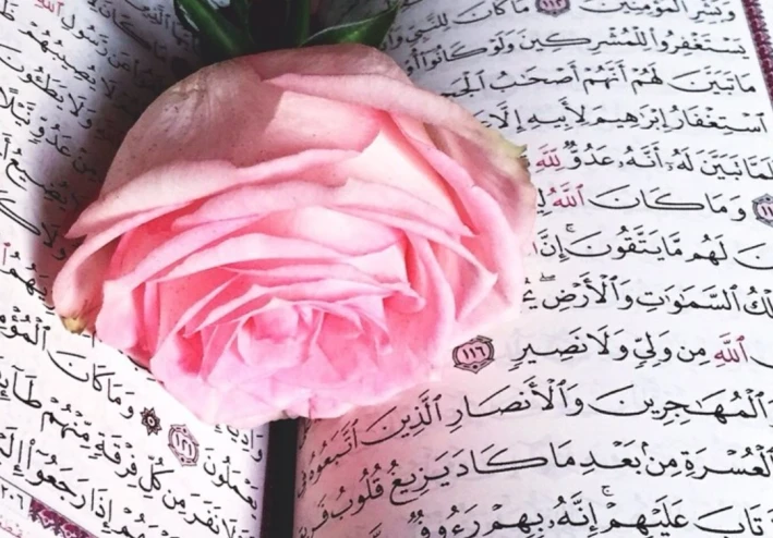 النقلة التي أحدثها القرآن في العالم