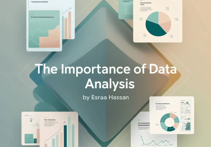 The Importance of Data Analysis: A Detailed Explanation and Steps to Get Started