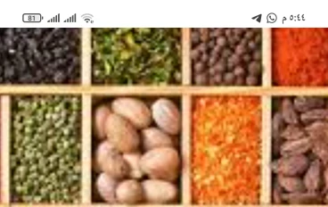 هيا نتعرف علي علاج النسيان والاعشاب المفيدة لذلك