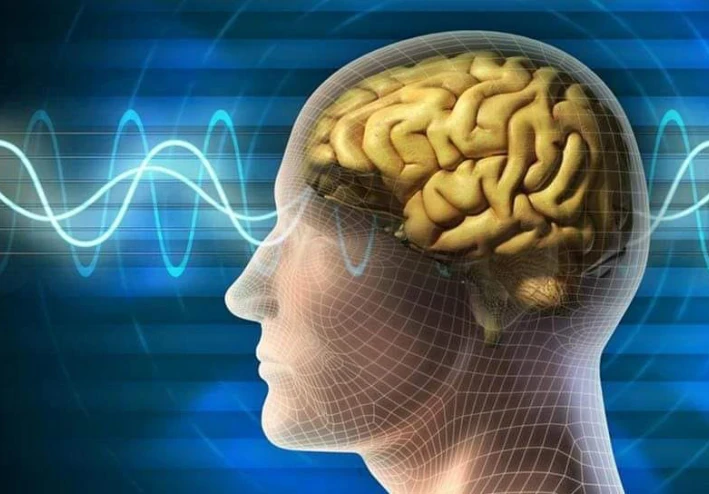 تعرف على(١٠) حقائق مهمة ومثيرة عن الدماغ