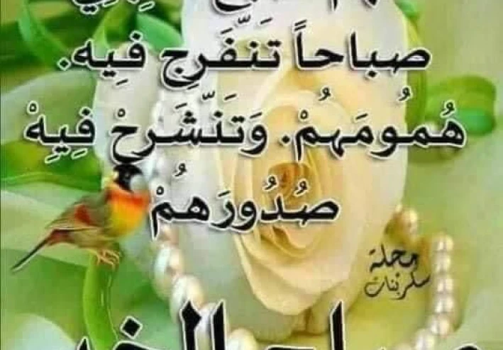 من فضائل سيدنا عثمان بن عفان رضي الله عنه