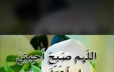 من فضائل سيدنا عثمان بن عفان رضي الله عنه 